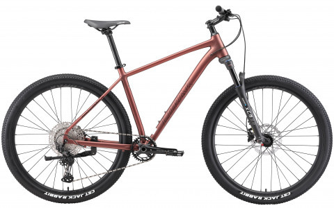 LORAK Sel 9950 XT Матовый Коричневый рама 23 (на рост 188-203)